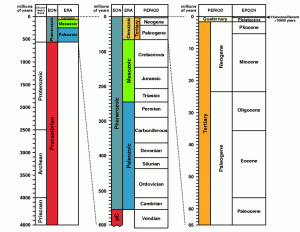 The geologic time scale.